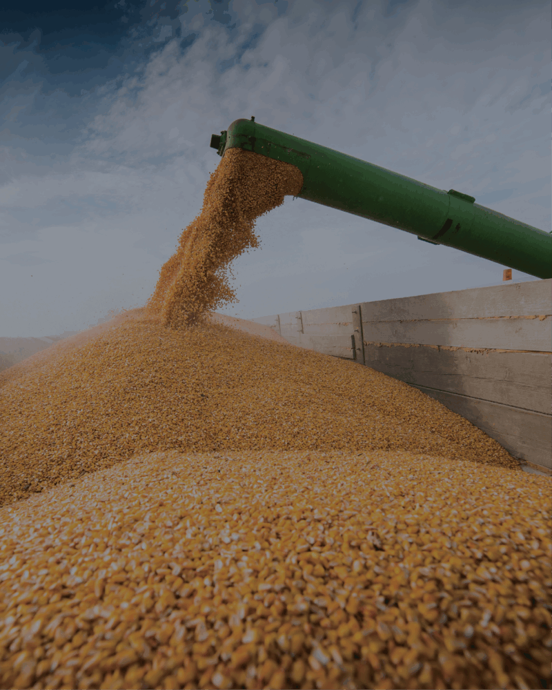 commodities recruiter