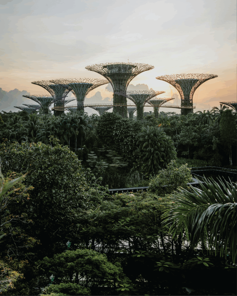 singapore energy trading