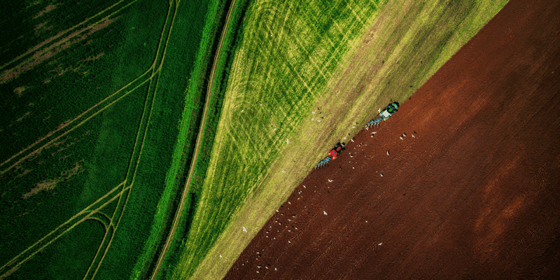 agri trading recruiter