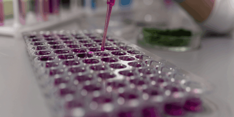 Chemical Sector Executive Recruiters