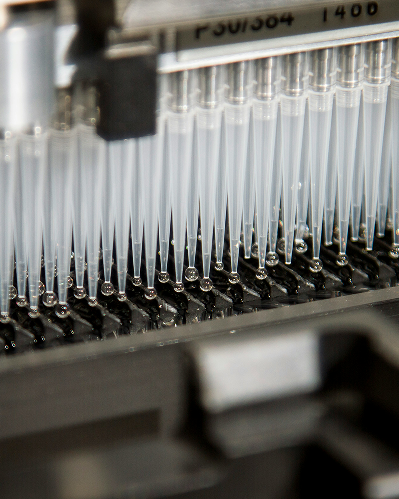 Chemicals Executive Search