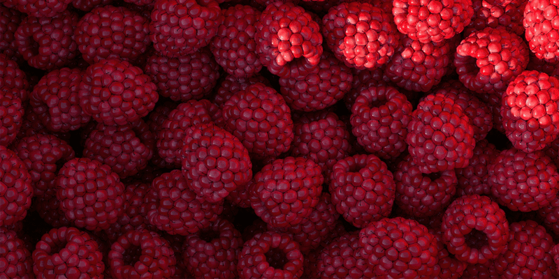 executive search firm food sector