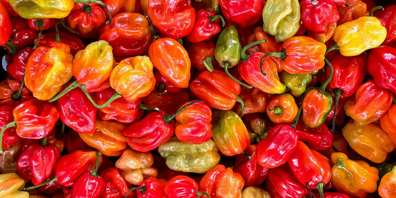 Food & Beverage Leadership Hiring