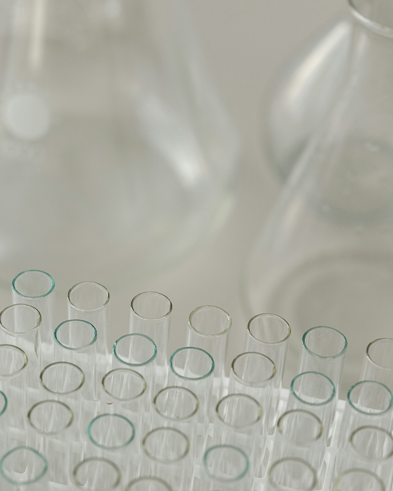 Specialty Chemicals Executive Search Firm