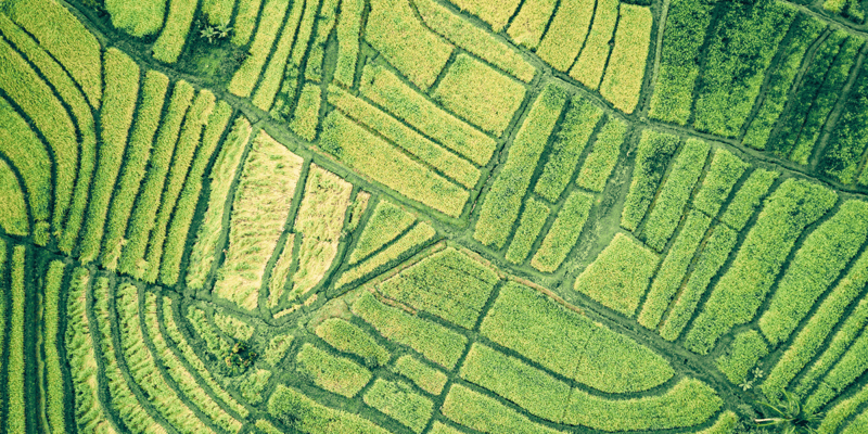 Agriculture Commodities Recruitment Singapore