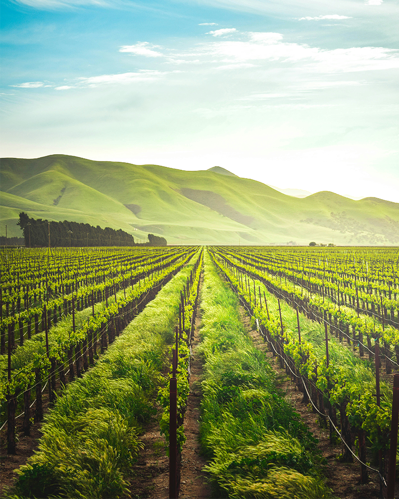 Agriculture Commodities Recruitment Singapore