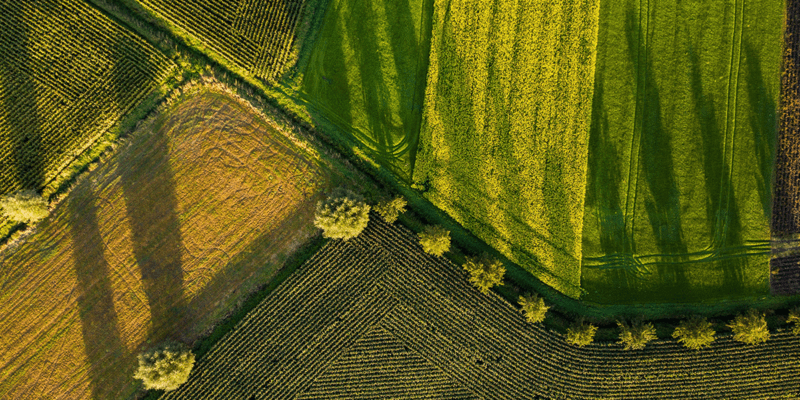 Commodities Headhunter Singapore