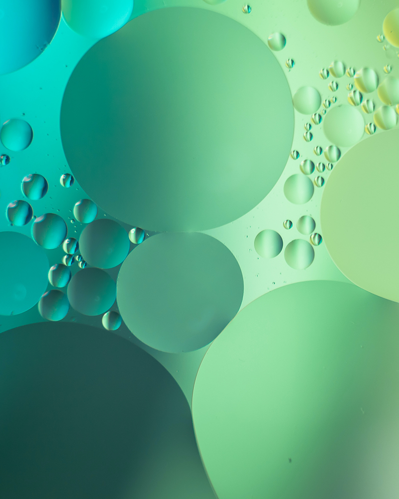 Latin American Chemicals Industry: 2026 Market Outlook