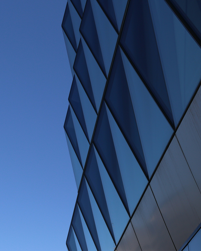 PE Portfolio Company CEO Search