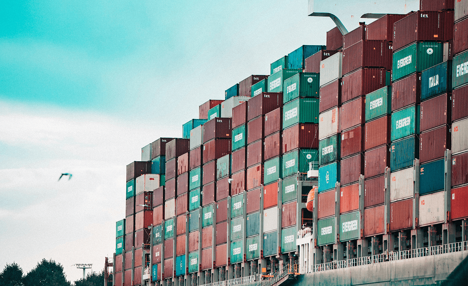 nearshoring-talento-mexico
